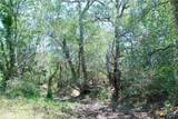 3703 Muehr Road - Photo 13