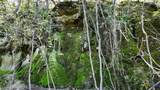 TBD Cumberland Trail - Photo 10
