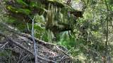 TBD Cumberland Trail - Photo 11