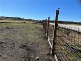 1300 County Road 217 - Photo 6