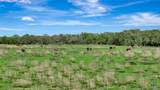 16297B State Highway 111 E - Photo 13