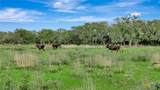 16297B State Highway 111 E - Photo 14