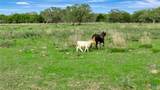 16297B State Highway 111 E - Photo 15