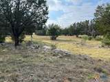 Lt 14050 Southwind - Photo 6