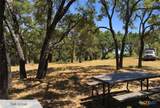 525 Soda Creek Road - Photo 11