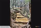 525 Soda Creek Road - Photo 33