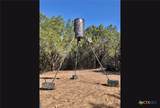 525 Soda Creek Road - Photo 37