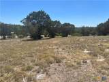 Lt 14111 Suthwind / Palomino - Photo 6