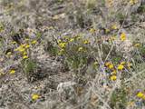 Lot 24 Private Road 3643 - Photo 18