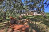 830 Palomino Lane - Photo 39