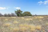 2884 Political Road - Photo 28