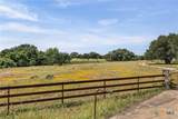 1306 Hidden Springs Drive - Photo 8