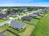 3303 Pistoia Trail - Photo 42