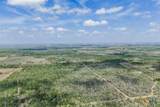 8519 State Park Road - Photo 19
