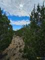 TBD County Road 3070 - Photo 5