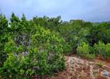 171 Appaloosa Drive - Photo 8