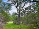 TBD Lot 43A Narrows Road - Photo 1