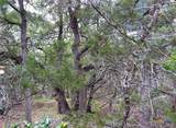 TBD Lot 43A Narrows Road - Photo 6