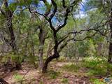 TBD Lot 43A Narrows Road - Photo 7