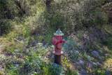 0 N Mccampbell Street - Photo 30