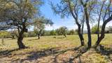 Lot 19 Stone Ridge Mountain Drive - Photo 1