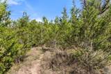 Lot 19 Stone Ridge Mountain Drive - Photo 23