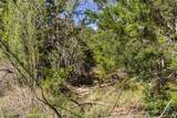 Lot 19 Stone Ridge Mountain Drive - Photo 25