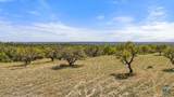 Lot 19 Stone Ridge Mountain Drive - Photo 3