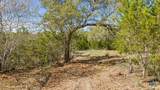 Lot 19 Stone Ridge Mountain Drive - Photo 9