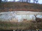 440 Chimney Valley Road - Photo 12