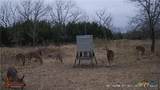 440 Chimney Valley Road - Photo 14