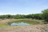 3710 Dry Creek Road - Photo 12