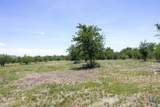 3710 Dry Creek Road - Photo 13
