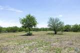 3710 Dry Creek Road - Photo 14