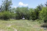 3710 Dry Creek Road - Photo 18