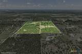 3710 Dry Creek Road - Photo 21