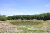 3710 Dry Creek Road - Photo 7
