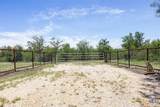 3710 Dry Creek Road - Photo 8