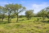 0 Live Oak Ranch - Photo 6