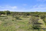 0 Live Oak Ranch - Photo 7