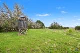1312 Fm 581 Highway - Photo 36