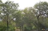 Lot 66 Powder Ridge Ridge - Photo 3