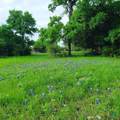 373 Winding River Road - Photo 5