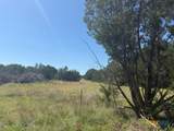 TBD County Road 2644 - Photo 18