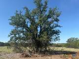 TBD County Road 2644 - Photo 19