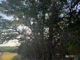 TBD County Road 2644 - Photo 3