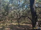 TBD County Road 2644 - Photo 6