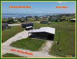 291 White Marlin Drive - Photo 1