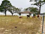 1696 Fm 884 - Photo 2