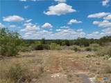 LOT 201 Sundance View Point - Photo 1